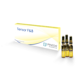 TENSOR F&B
