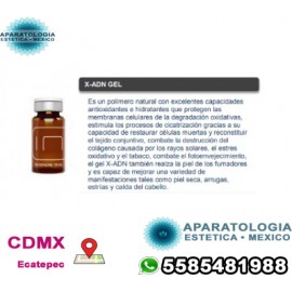X-ADN GEL