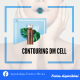 Contorno (contouring)