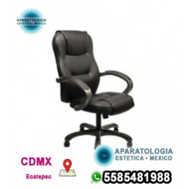 Silla ergonómica para escritorio y oficina