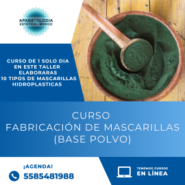 Taller elaboración de mascarillas hidroplastias a base de polvo